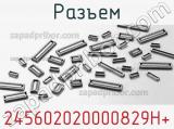 Разъем 245602020000829H+ 