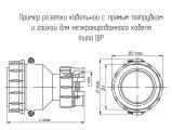 ШР55П6НШ6 розетка кабельная