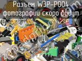 Разъем W3P-P004 