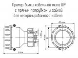 ШР40П16НГ2 чертеж кабельной вилки с прямым патрубком и гайкой для неэкранированного кабеля.