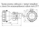 2РТТ36КПН5Г18В чертеж кабельной розетки с прямым патрубком и гайкой для неэкранированного кабеля.