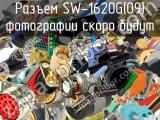 Разъем SW-1620G(09) 