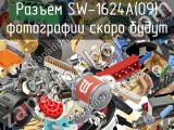 Разъем SW-1624A(09) 
