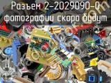 Разъем 2-2029090-0