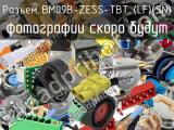 Разъем BM09B-ZESS-TBT (LF)(SN) 