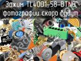 Зажим TL4001-58-BTNG