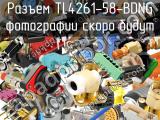 Разъем TL4261-58-BDNG 