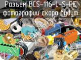 Разъем BCS-116-L-S-PE 