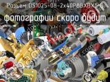 Разъем DS1025-08-2x40P8BXBX1-B 