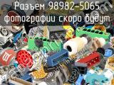 Разъем 98982-5065