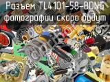 Разъем TL4101-58-BDNG