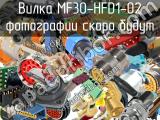 Вилка MF30-HFD1-02 