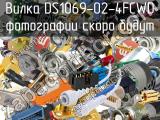 Вилка DS1069-02-4FCWD 