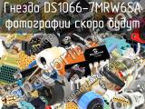 Гнездо DS1066-7MRW6SA 