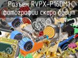 Разъем RVPX-P16DM1