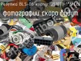 Розетка BLS-06 корпус(DS1071-1*6FCB) 