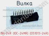 Вилка BH-24R (IDC-24MR) (DS1013-24R) фотография 2.