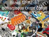 Вилка 12FMZ-BT