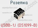 Розетка USBB-1J (DS1099-B) 
