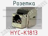 Розетка HYC-K1813 