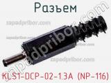 Разъем KLS1-DCP-02-1.3A (NP-116) 