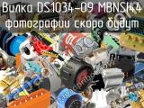 Вилка DS1034-09 MBNSI44 