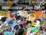 Вилка DS1073-01-2x10-MR1T6 (MF2x10MRB) 