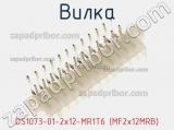 Вилка DS1073-01-2x12-MR1T6 (MF2x12MRB) 