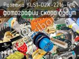 Розетка KLS1-D2X-2216-F-S