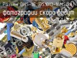 BHS-16 (DS1013-16MSISA)