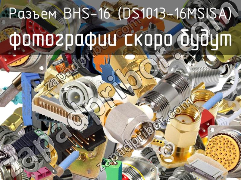 Разъем BHS-16 (DS1013-16MSISA) фотография.