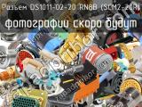DS1011-02-20 RN8B (SCM2-20R)