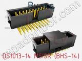 DS1013-14 MSISR (BHS-14)