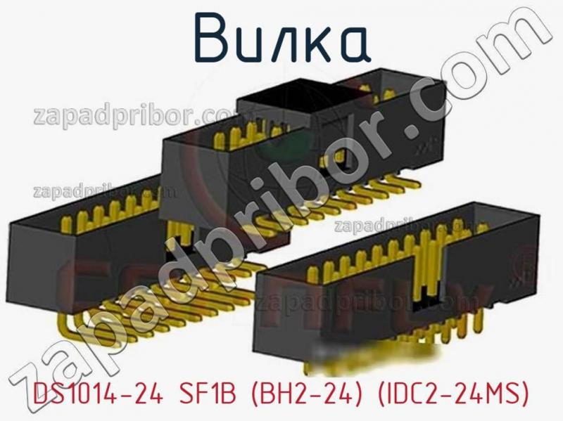 Вилка DS1014-24 SF1B (BH2-24) (IDC2-24MS) фотография.