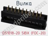 DS1018-20 SIBX (FDC-20)