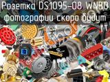 Розетка DS1095-08 WNB0