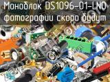 Моноблок DS1096-01-LN0 