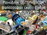 Моноблок DS1131-S80BP