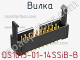 DS1013-01-14SSiB-B