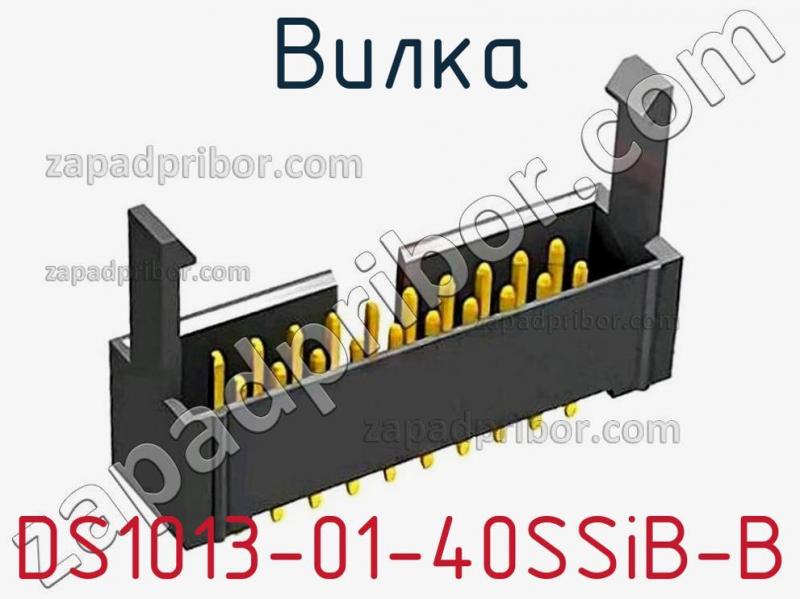 Вилка DS1013-01-40SSiB-B фотография.