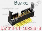 DS1013-01-40RSiB-B