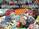 Разъем USBB-1FV 