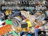 Розетка KLS1-204-14-B 