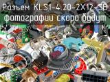 Разъем KLS1-4.20-2X12-SB 