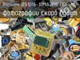 DS1016-10MA2BB (IDC-10)