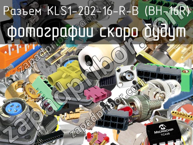 Разъем KLS1-202-16-R-B (BH-16R) фотография.