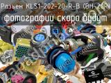KLS1-202-20-R-B (BH-20R)