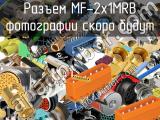 Разъем MF-2x1MRB 