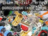 Разъем MF-2x4F +Terminal 