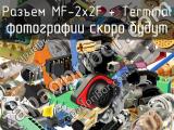 Разъем MF-2x2F + Terminal 